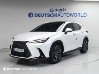 NX 350h 력셔리